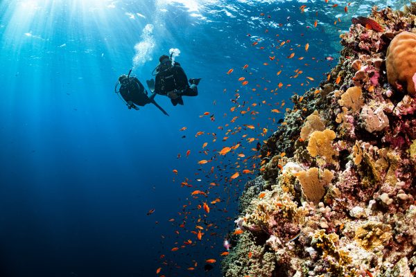 Junior Open Water Diver - Image 12