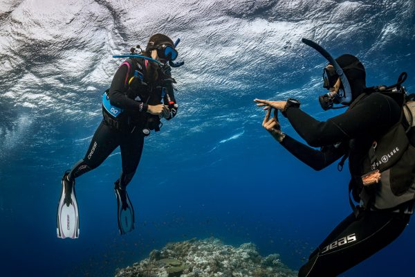 Divemaster - Image 3