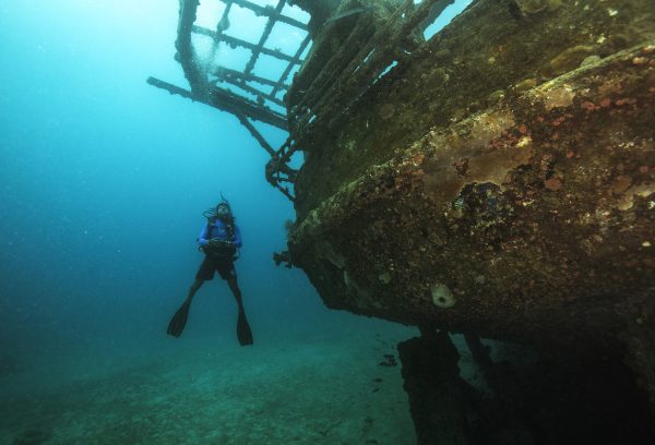 Wreck Diver - Image 3
