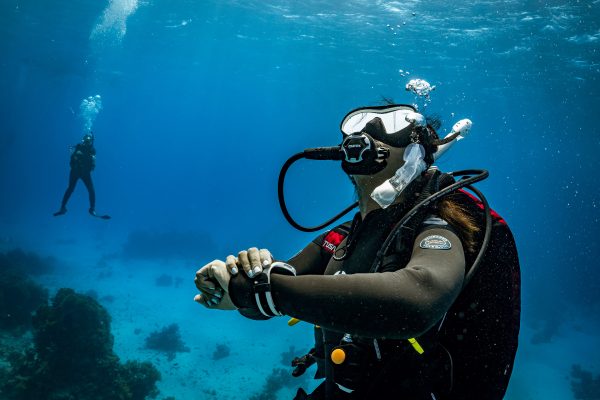 Divemaster - Image 4
