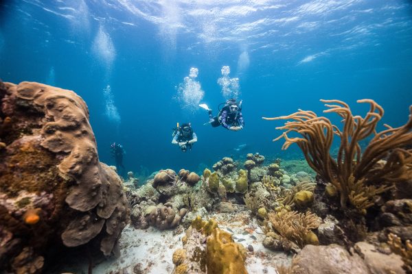 Junior Open Water Diver - Image 13