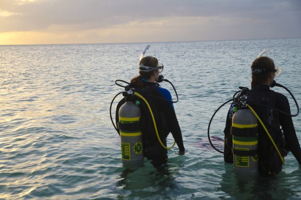 Enriched Air (Nitrox) Diver - Image 4