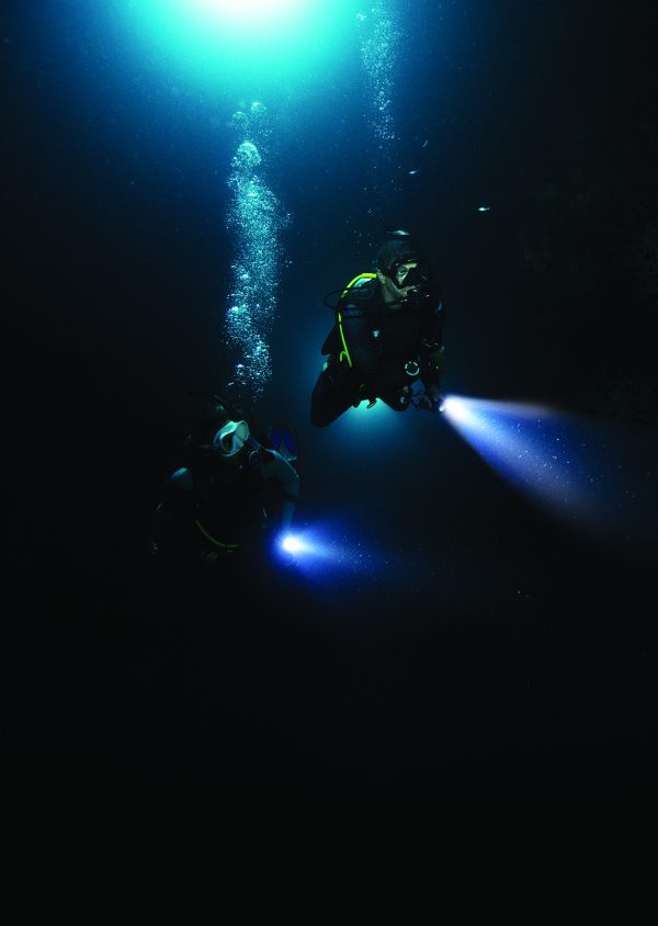 Night Diver - Image 3