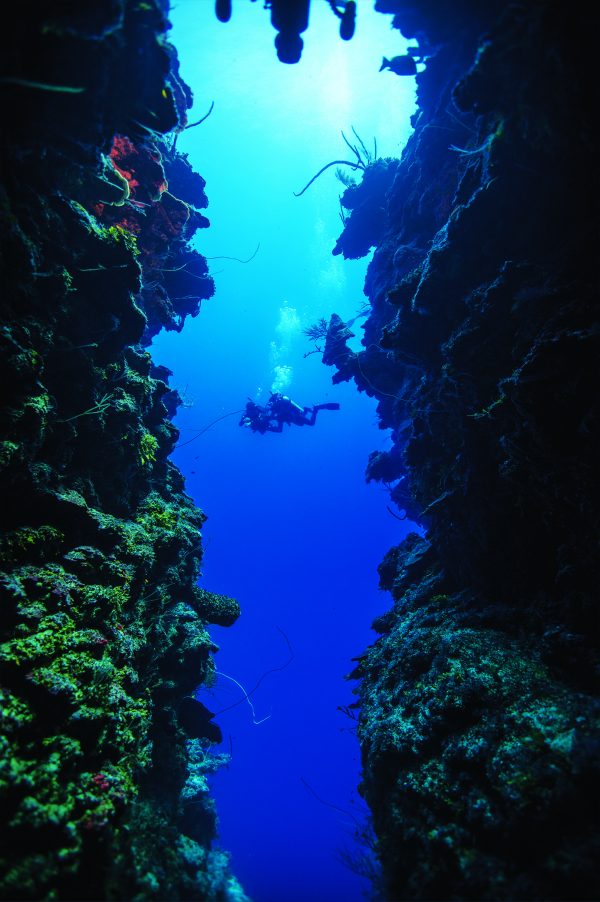 Advanced Open Water Diver - Image 9