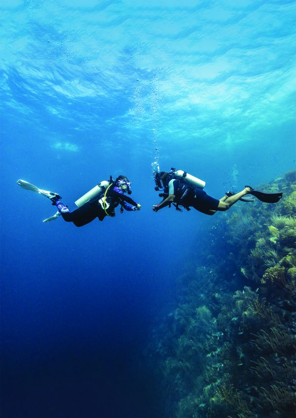 Advanced Open Water Diver - Image 10