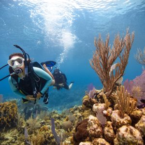 women diving by coral - open water diver