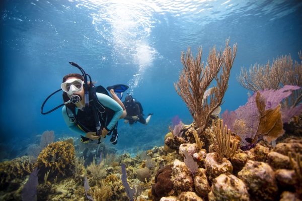 women diving by coral - open water diver