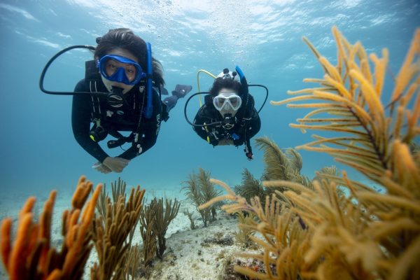 Junior Open Water Diver - Image 6