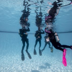 scuba divers learning in pool