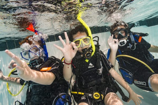 bubble makers enjoying themselves underwater. Experience scuba diving