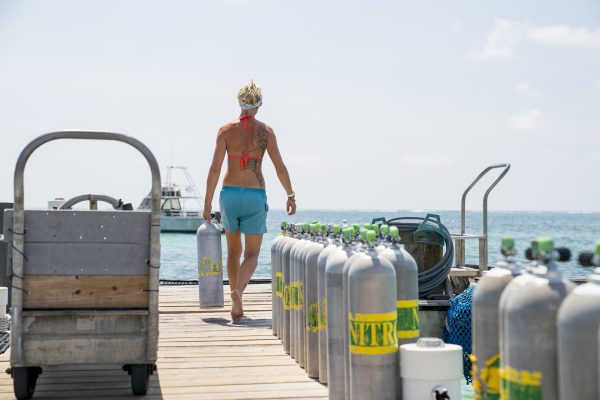 Enriched Air (Nitrox) Diver - Image 5