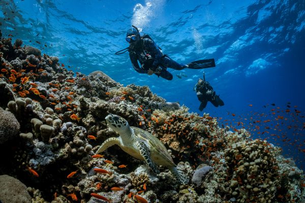 Junior Open Water Diver - Image 15