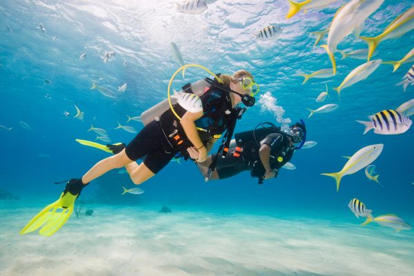 Junior Open Water Diver - Image 11