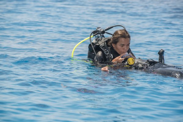 Rescue Diver - Image 10