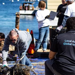 Team of helpers collecting rubbish from the sea