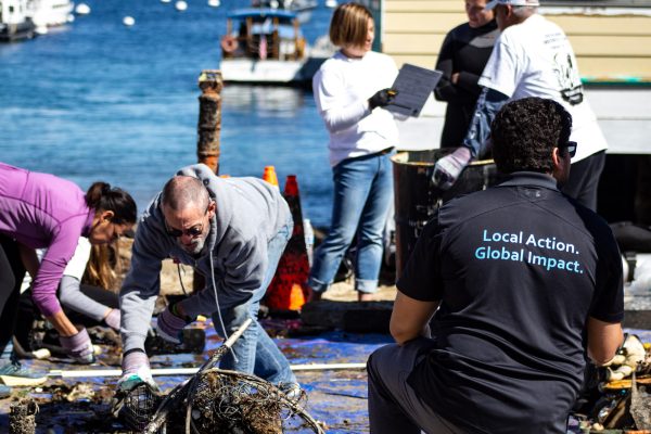 Team of helpers collecting rubbish from the sea