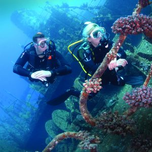 Wreck Diver