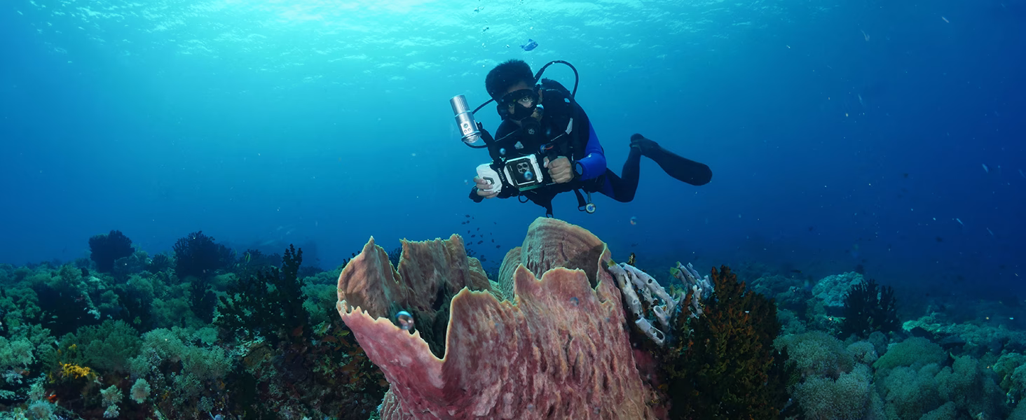 PADI Digital Underwater Photography - Image 8