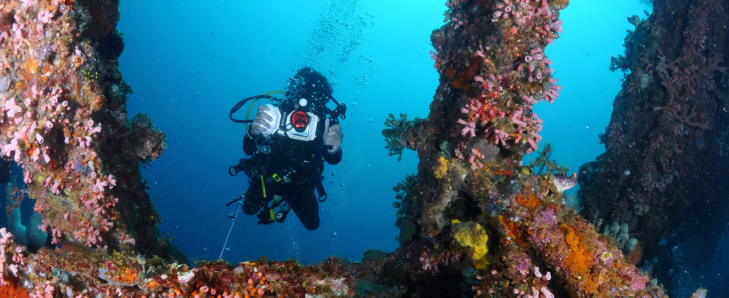 PADI Digital Underwater Photography - Image 5