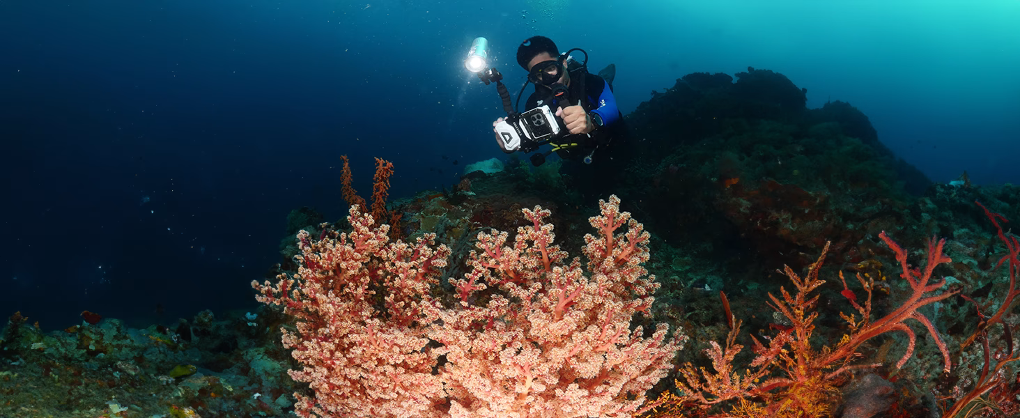 PADI Digital Underwater Photography - Image 7