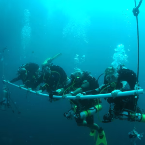 PADI Drysuit Speciality Course - Image 2