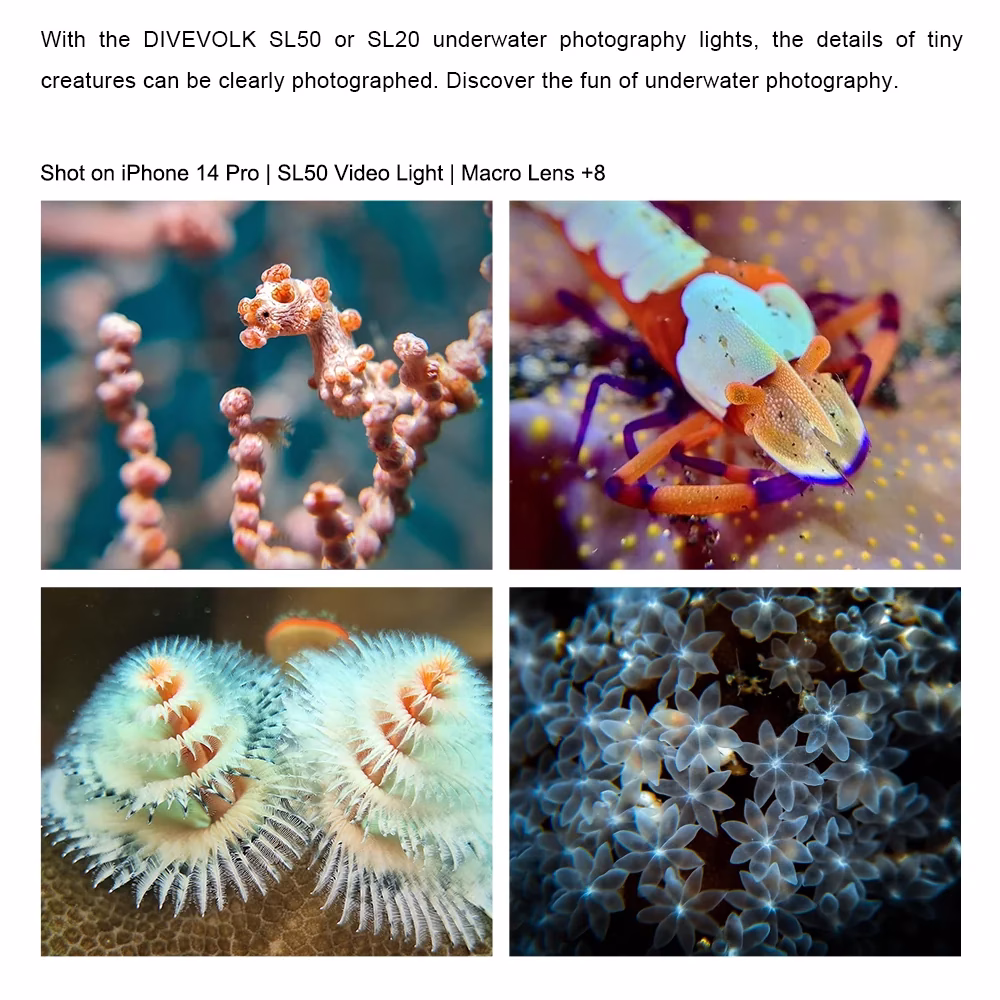 DIVE VOLK macro lens +8 - Image 3