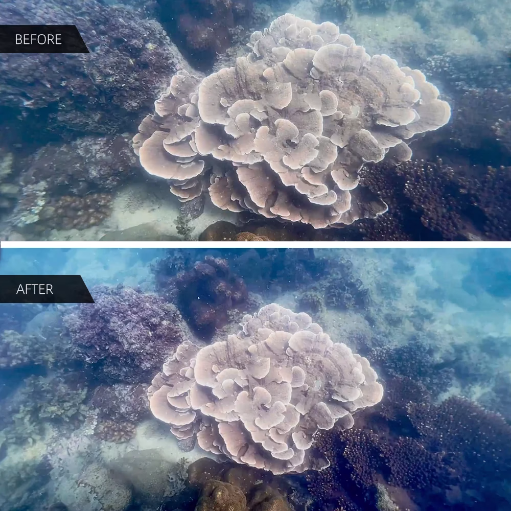 DIVEVOLK Underwater Wide-Angle Conversion Lens X0.6 - Image 4