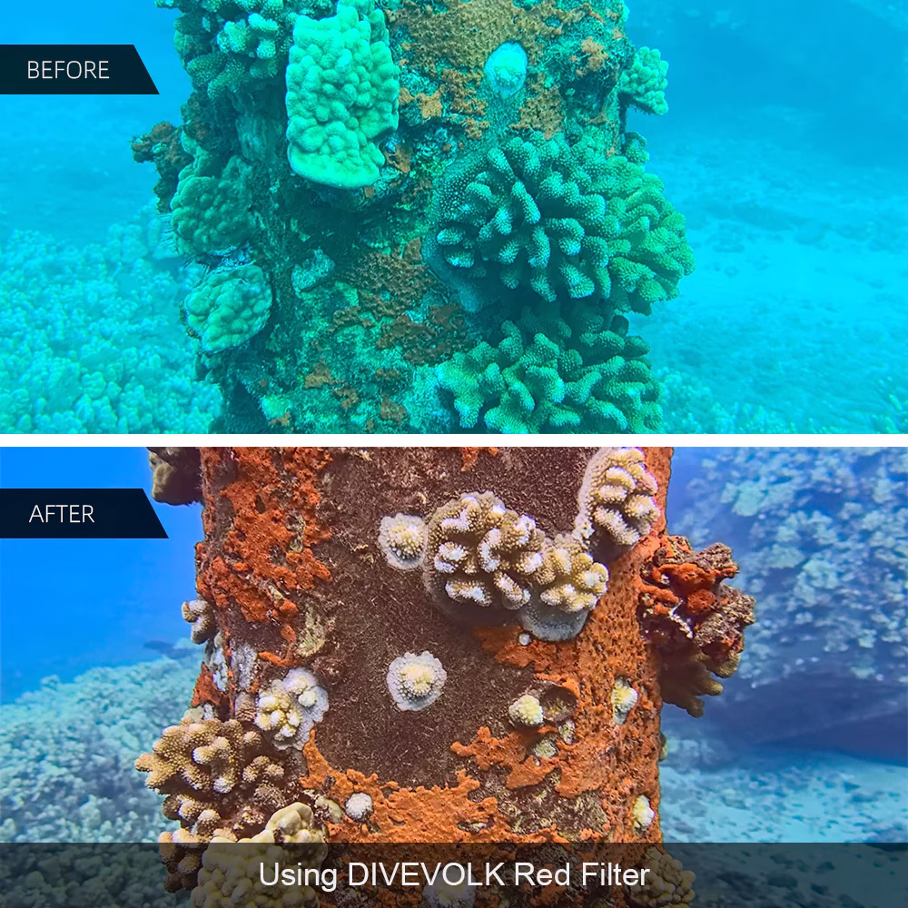 DIVEVOLK SeaTouch 4 Max Plus Underwater Housing Filter Kit - Image 8